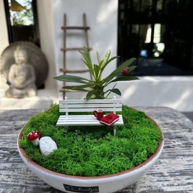 En İyi Arkadaşa El Yapımı Mini Teraryum Bahçe
